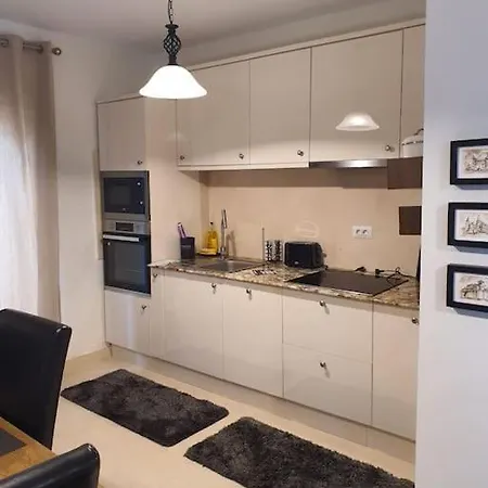 Case de vacanță Casa Cu Flori *