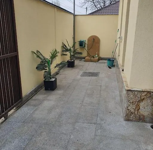 Casa Cu Flori Бухарест